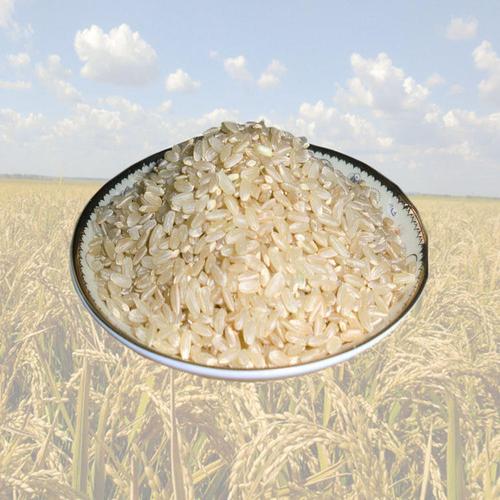 产地货源 黑龙江大米 糙米胚芽米五谷杂粮粗粮25kg/件厂家直发